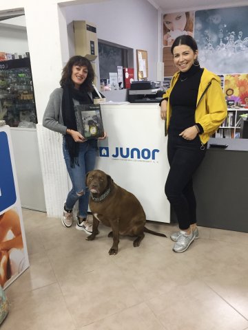 junor comercio de materiais de construcao